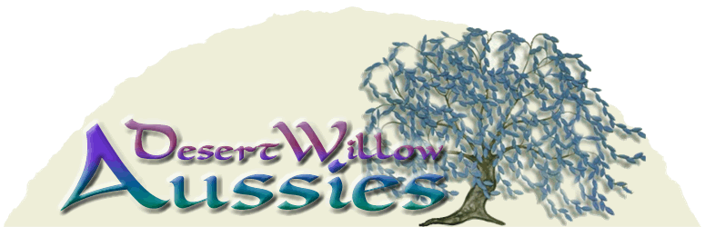 www.desertwillowaussies.com